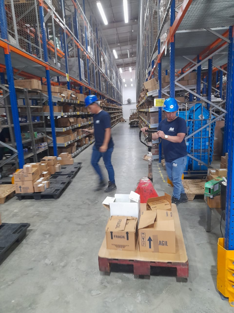 Diagnóstico Motta 1