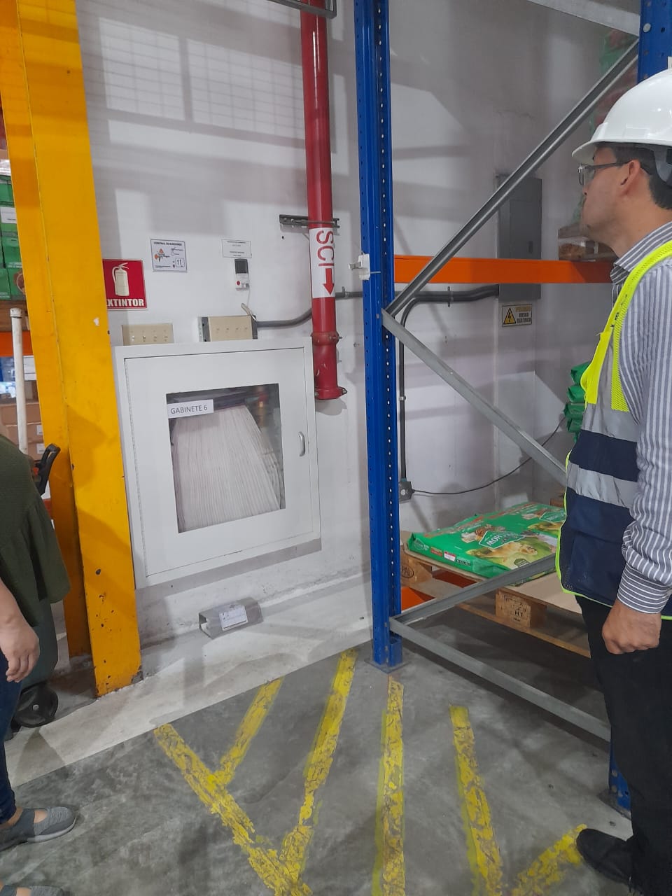 Diagnóstico Motta 2