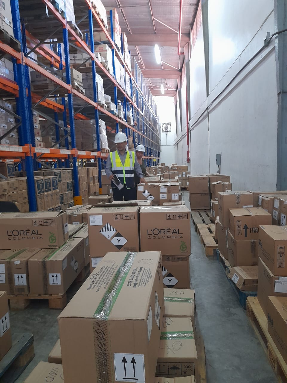 Diagnóstico Motta 5